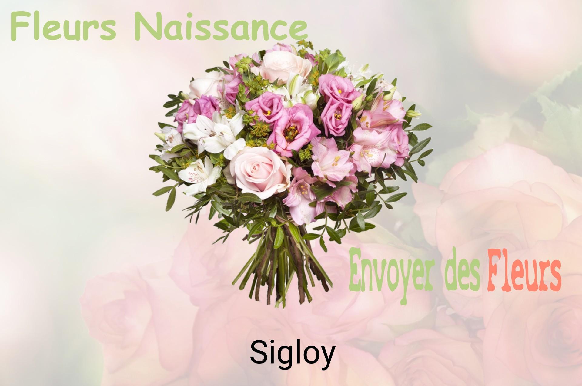Bouquet de fleurs de naissance livré à Sigloy