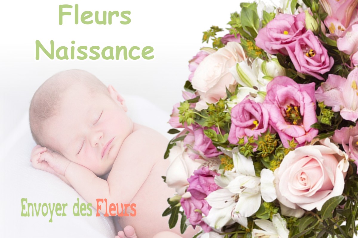 lIVRAISON FLEURS NAISSANCE à SIGLOY